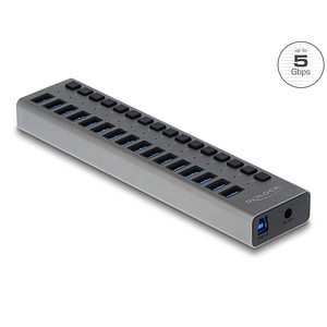 Image Delock USB-Hub 16-fach grau