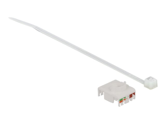 Image DELOCK Kabelverbinder RJ45 Buchse zu Cat.6A LSA mit Verschlusskappe wasserfest