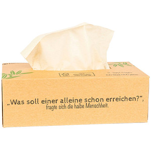 Image pandoo Taschentücher, 100 St.