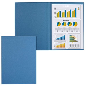 Image 100 FALKEN Aktendeckel DIN A4 blau