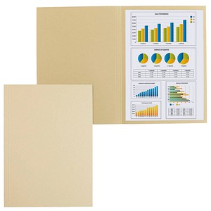 Image 100 FALKEN Aktendeckel DIN A4 chamois