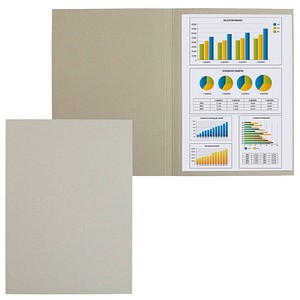 Image 100 FALKEN Aktendeckel DIN A4 grau