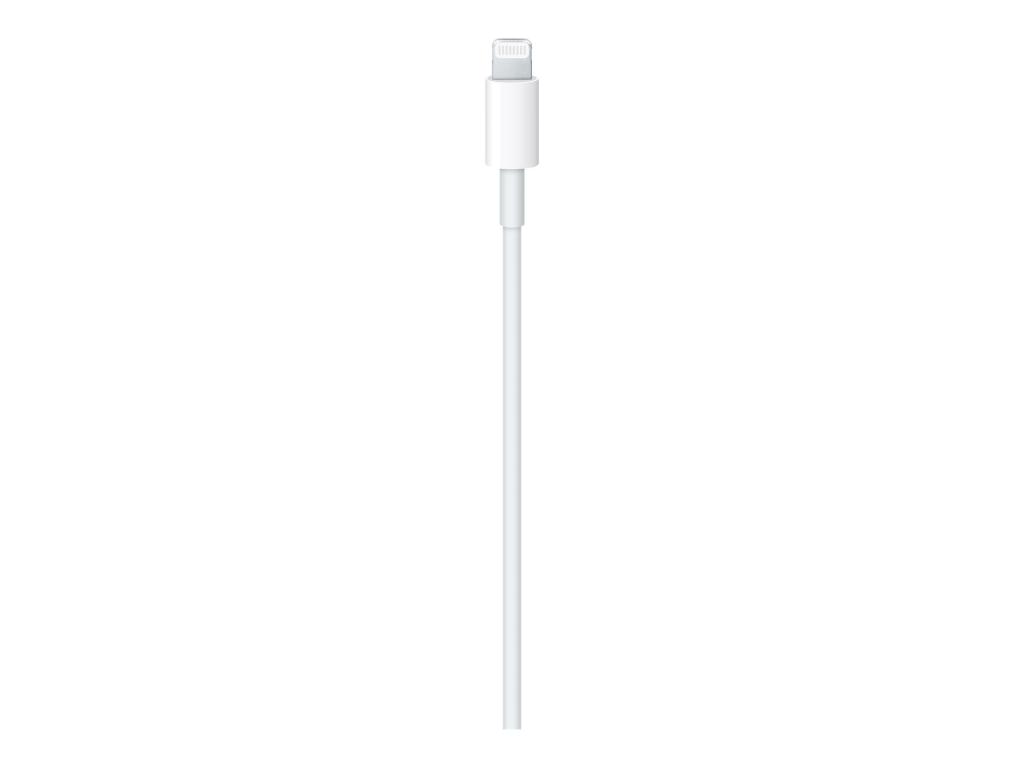 Image APPLE - Lightning-Kabel - Lightning männlich bis USB-C männlich - 2 m - für iPa