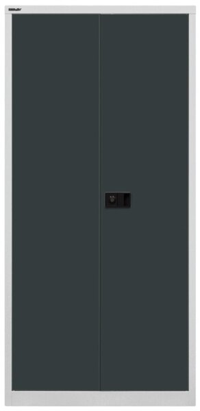 Image Flügeltürenschrank aus Stahl Lichtgrau/Anthratzit