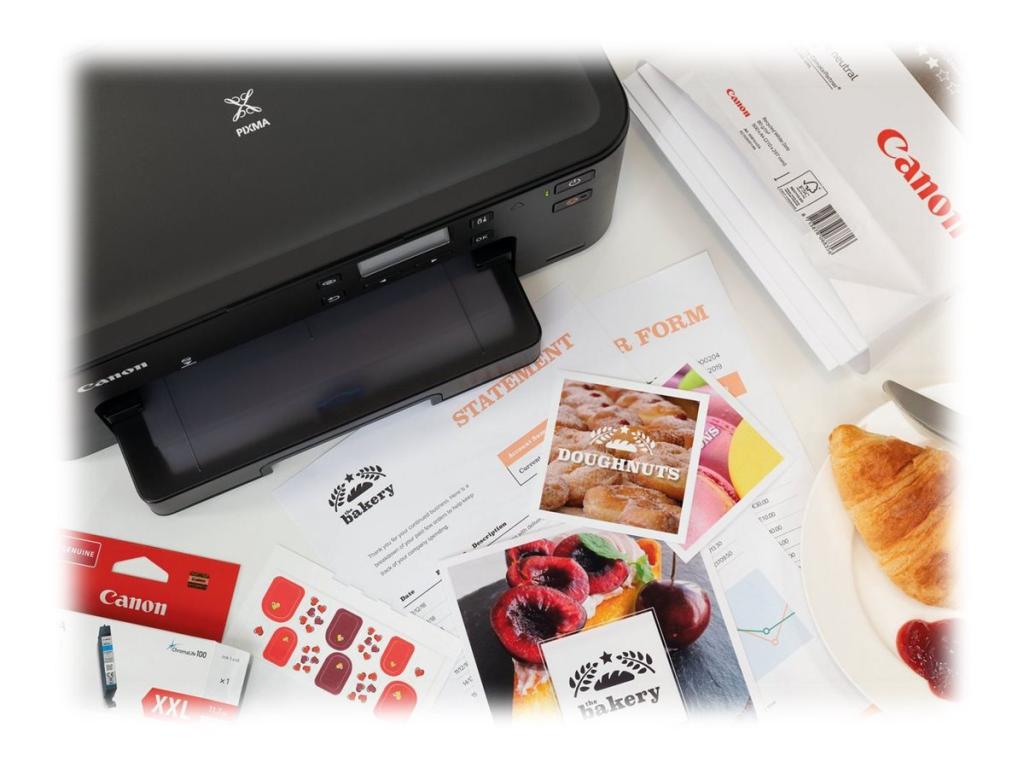 Image CANON PIXMA TS705a