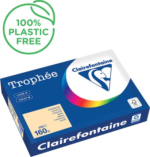 Image Kopierpapier,A4 160g, 250Blatt Trophee Pastell, chamois