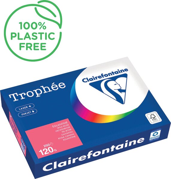 Image Kopierpapier,A4 120g, 250Blatt Trophee Pastell, heckenrose