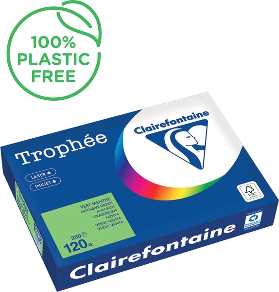 Image Kopierpapier,A4 120g, 250Blatt Trophee Intensiv, minze