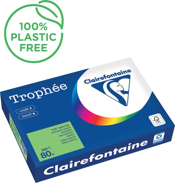 Image Kopierpapier,A4 80g, 500Blatt Trophee Intensiv, minze