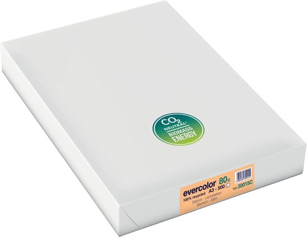 Image Kopierpapier, A3 80g, 500 Bl-lachs Farbiges Kopierpapier - Recycling