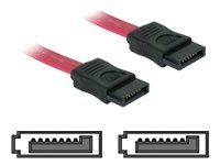 Image DELOCK SATA Kabel 30cm gerade/gerade