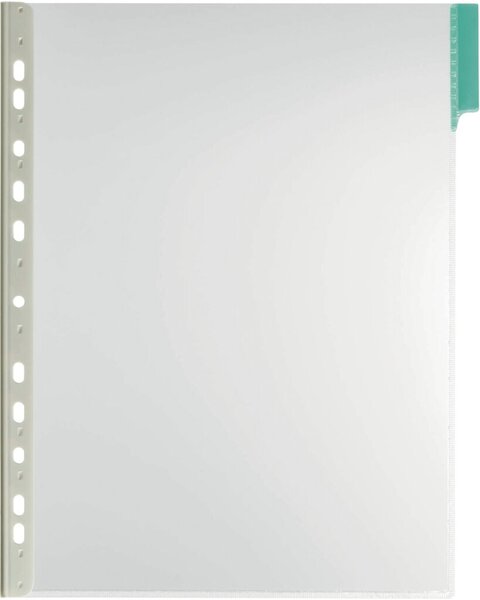 Image Sichttafel A4 Hartfolie grün Beutel = 5 Stück