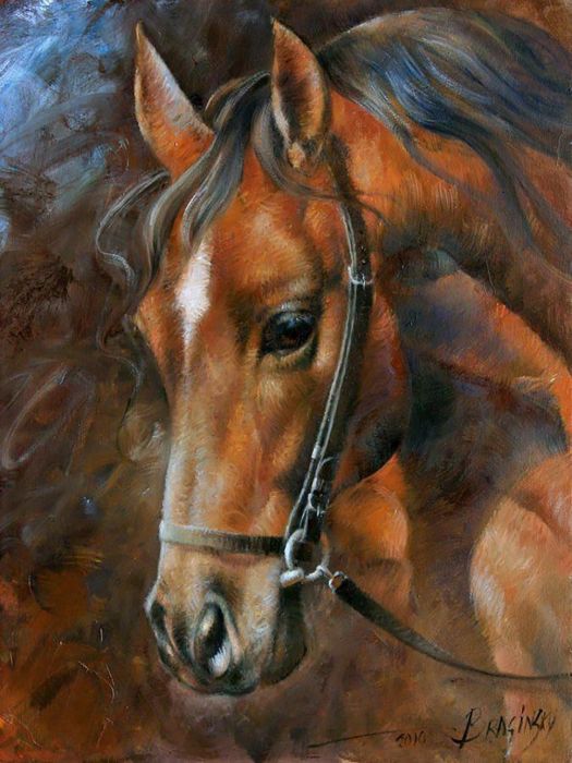 Image Diamond Painting Pferd 40x30 cm, Nr: 6030-40041