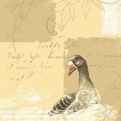 Image Dunilin Servietten 40 x 40 cm, 50 Stück/Pack | mit Motiv Goose