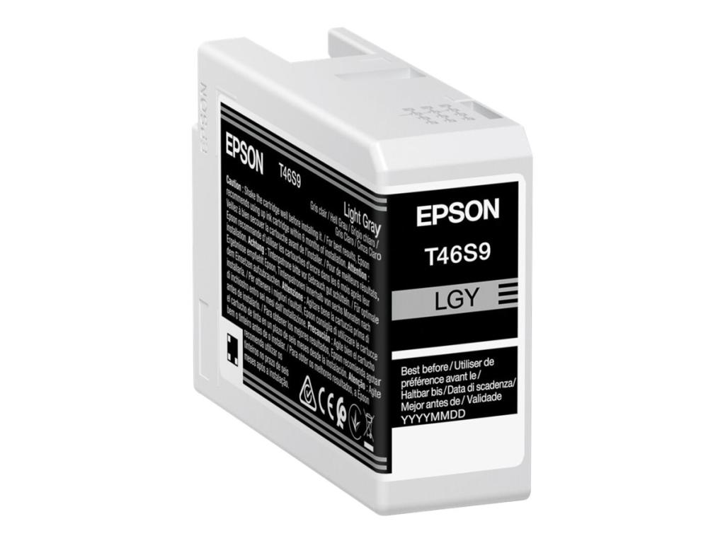 Image EPSON Singlepack Light Gray T46S9 UltraChrome Pro 10 ink 26ml