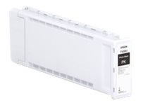 Image EPSON Singlepack UltraCh XD3 Photo Black T50M1