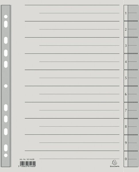 Image Trennblätter A4 grau, 230g/qm Karton Mikroperforation