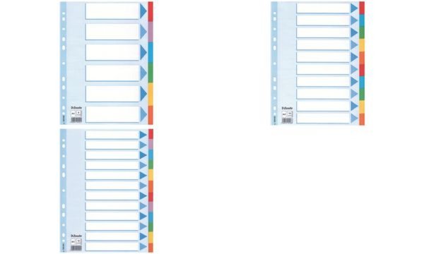 Image Esselte Karton-Register, blanko, A4 , 10-teilig, mehrfarbig (80100193)