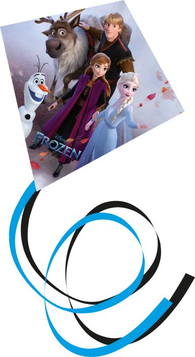 Image FRO Anna & Elsa Einleinerdrachen, Nr: 1155