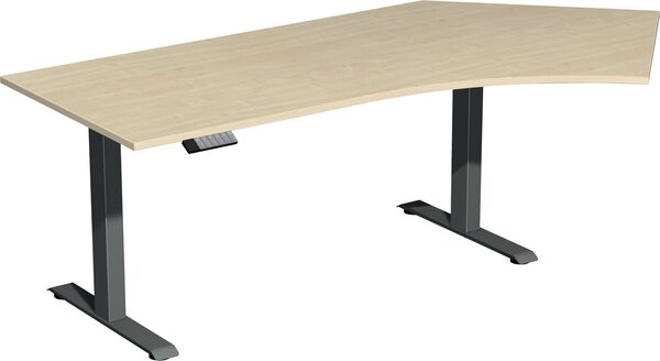 Image Elevate Basic Elektro-Hubtisch 2166x1130x730-1230 ahorn/anthrazit