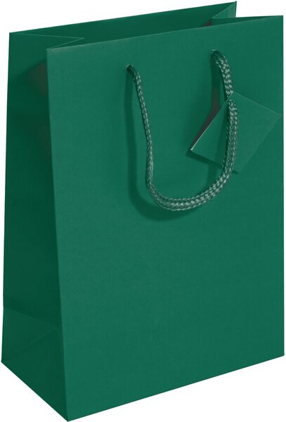 Image Geschenktasche Small, opalgrün mit Mattlack und Geschenkeanhänger