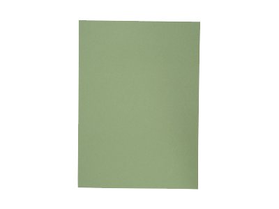 Image HAMELIN ELBA Aktendeckel, DIN A4, Manilakarton, ohne Druck, grün 250 g-qm - 100