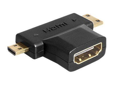 Image  HDMI-C + HDMI-D Stecker