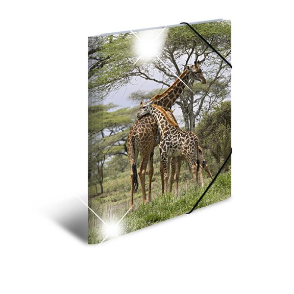Image Sammelmappe Glossy A3 PP Giraffe 