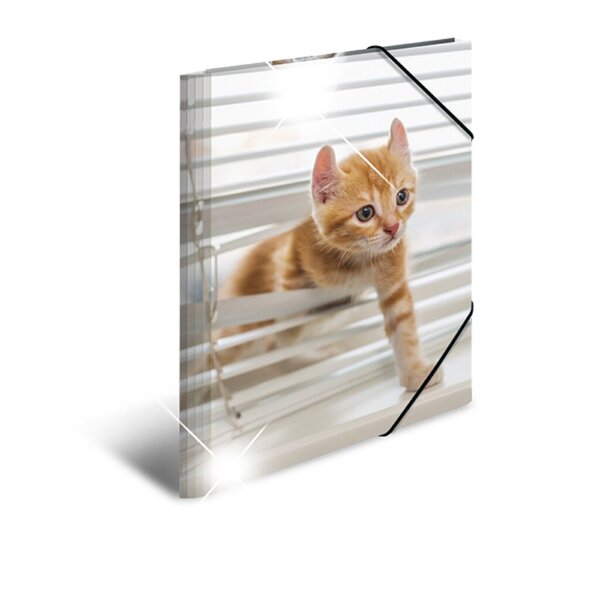 Image Sammelmappe Glossy A3 PP Katzen 