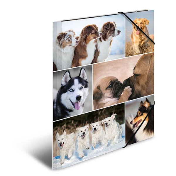 Image Sammelmappe A4 Hunde Material Karton VE = 1 Packung = 3 Stück