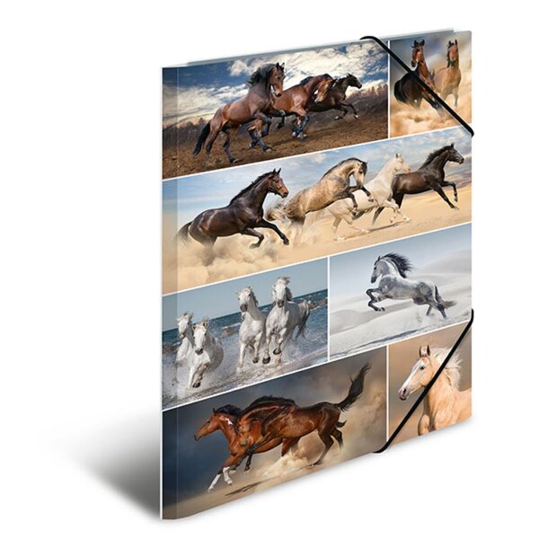 Image Sammelmappe A3 Pferde Material Karton VE = 1 Packung = 3 Stück