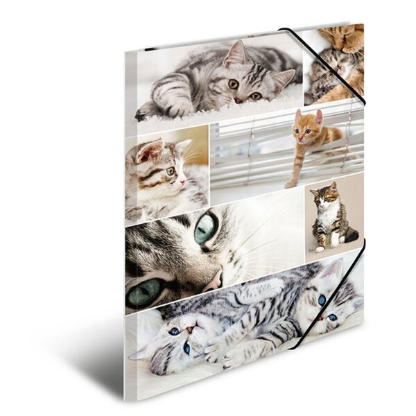 Image Sammelmappe A3 Katzen Material Karton VE = 1 Packung = 3 Stück