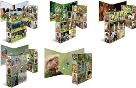 Image HERMA Ordner A4 Heimatvögel