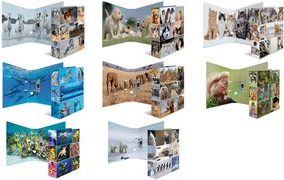 Image HERMA Ordner A4 Waldtiere