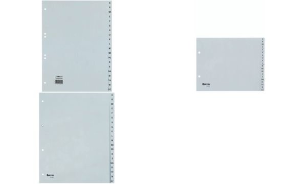 Image HETZEL Kunststoff-Register, A-Z, A4 , PP, 24-teilig, grau (59256504)