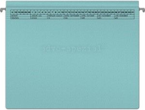 Image Hängehefter ReNo-COMFORT 1 AHV Rechtsheftung hellblau