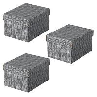 Image LEITZ 3 Esselte Home Aufbewahrungsboxen 6,5 l grau 20,0 x 25,5 x 15,0 cm; 1 Pac
