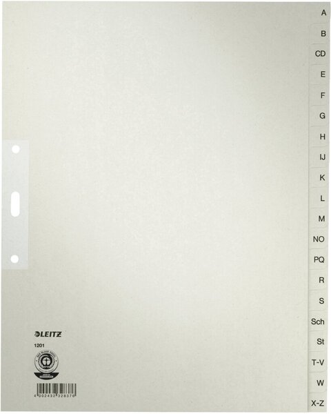 Image LEITZ Futterale für Archiv-Ordner 1190/1196, Karton, grau für Format DIN A4, fl