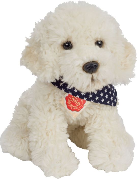 Image Labradoodle sitzend, ca. 30cm, Nr: 919391