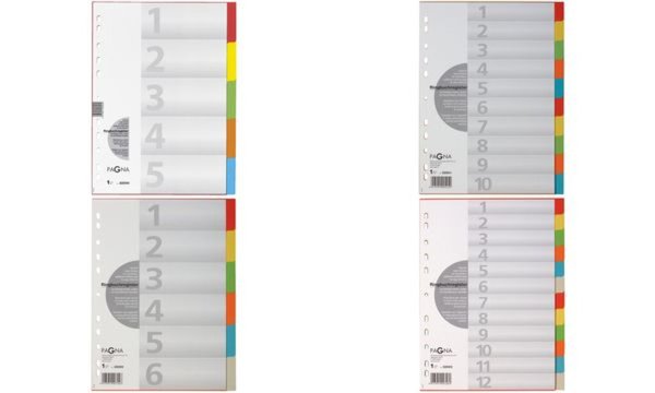 Image PAGNA Karton-Register, DIN A4, 10-t eilig, 5-farbig (63200120)