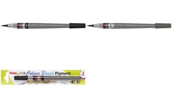 Image PentelArts Colour Brush Pigment Aqu arellpinselstift, schwarz (67006763