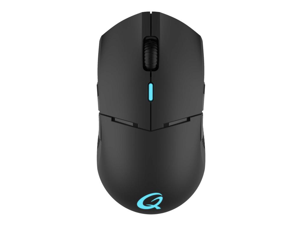 Image QPAD Gaming Maus DX900  16.000 dpi FPS, drahtlos