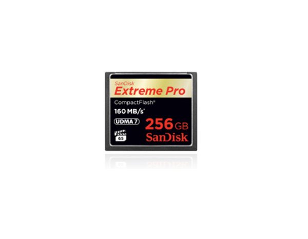 Image SANDISK COMPACT FLASH CARD 256GB