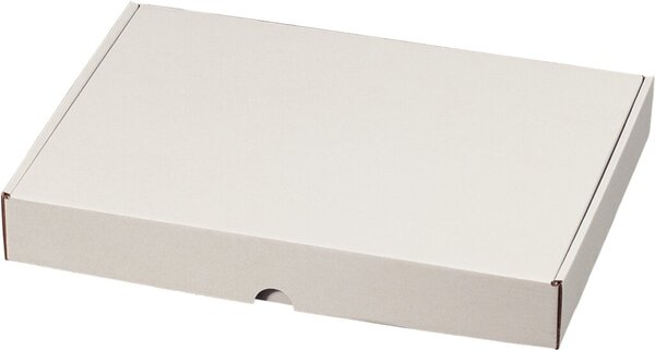 Image Maxibriefkarton weiß, portooptiemiert wiederverschließbar