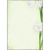 Image SIGEL Motiv-Papier Green Flower