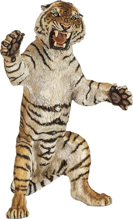 Image Stehender Tiger, Nr: 50208