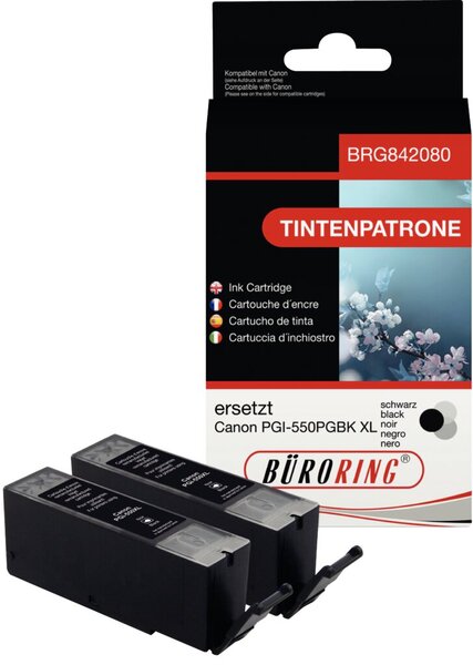 Image Tintenpatrone Doppelpack schwarz PIXMA iP7250, MG5450, MG5550, MG6350