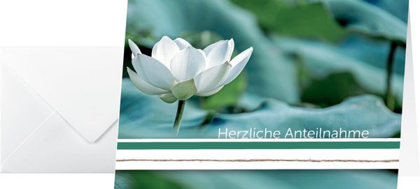 Image Trauer-Karten inkl. Umschläge weiß, Water Lily, Glanzkarton, 115x170 mm
