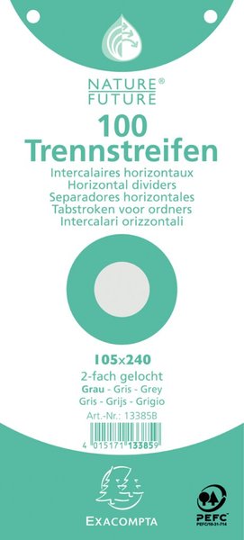 Image Trennstreifen grau 190g/qm Karton, 105 x 240 mm, gelocht