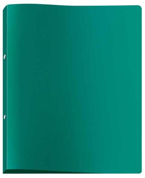 Image Ringbuch A4 grün, 2Rg 20 